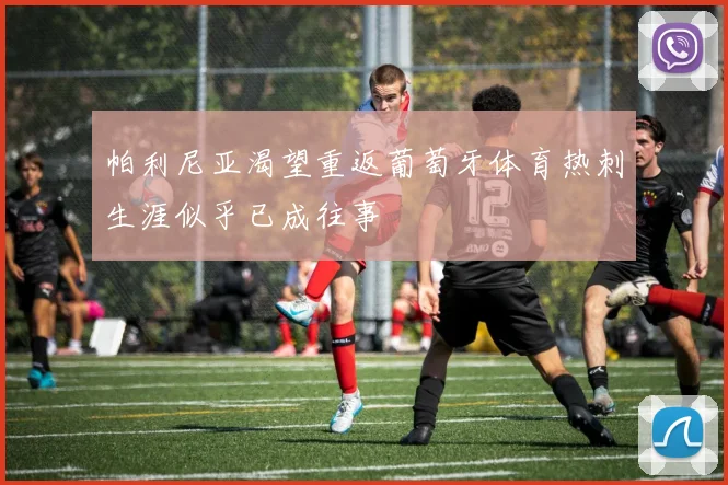 帕利尼亚渴望重返葡萄牙体育热刺生涯似乎已成往事